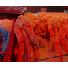 Frozen king crab legs