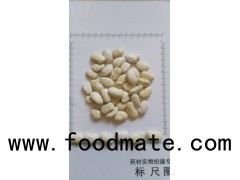 High Quality White kidney beans