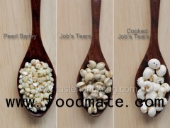Coix seed,Yiyiren,Job's tear seed and powder