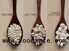 Coix seed,Yiyiren,Job's tear seed and powder