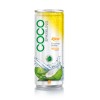 250ml Alu Can Mango Flavor With Sparking Coconut Water (https://rita.com.vn)