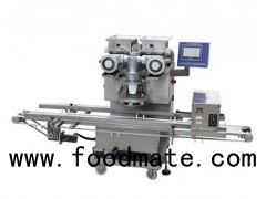 Automatic Encrusting and Arranging Machine