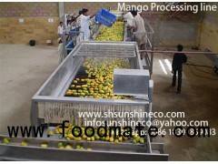 Mango Processing Line/Mango Puree Plant/Mango Puree making line with Italy technology
