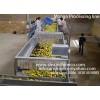 Mango Processing Line/Mango Puree Plant/Mango Puree making line with Italy technology