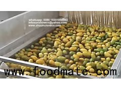 Mango Processing Line/Mango Puree Plant/passion fruit processing