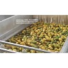 Mango Processing Line/Mango Puree Plant/passion fruit processing
