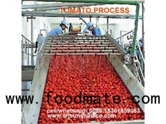 China professional supplier of tomato paste production line/tomato sauce making machine