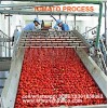 China professional supplier of tomato paste production line/tomato sauce making machine