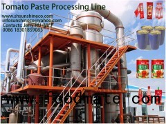 tomato paste plant/tomato making machine/tomato processing on turn-key solution