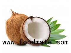 Coconut Water Extractor Coconut Processing Machine Coconut processer coconut plant