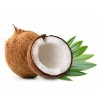 Coconut Water Extractor Coconut Processing Machine Coconut processer coconut plant