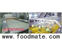 Brush roller washing machine/fruit washer/fruit washing machine/brush washing machine/brush washer