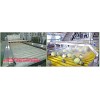 Brush roller washing machine/fruit washer/fruit washing machine/brush washing machine/brush washer