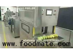 Mango peeling machine/Mango peeler/Mango Processer/ المانجو  مقشرة /ปอกมะม่วง