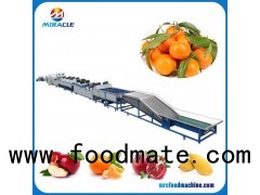 Drum Type Size Grading Round Fruits And Vegetable Sorting Machine