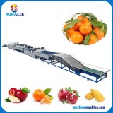 Drum Type Size Grading Round Fruits And Vegetable Sorting Machine