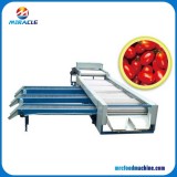 Rollarounds Distance Grading Oval Fruits Sorting Machinery