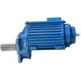 Open Pinion Crane Gear Motors