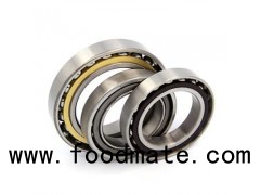 Single Row Angular Contact Ball Bearing