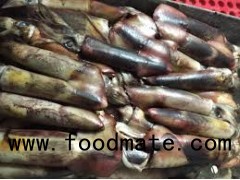 frozen seafood black squid