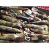 frozen seafood black squid