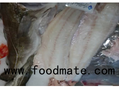ATLANTIC COD FISH, COD ROE, BEST QUALITY COD FILLET, FROZEN COD FISH