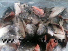 ATLANTIC SALMON HEED, GUTTED ATLANTIC SALMON HEAD, QUALITY ATLANTIC SALMON FILEET