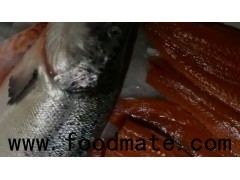 SALMON FISH