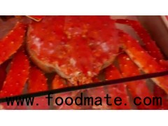 RED KING CRAB