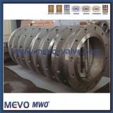 Swing Type Cast Steel And Stainless Steel Flanged Double Disc Swing Check Valve