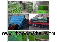 Professional Artificial Grass Products Of Garden Sports And Pet Synthetic Turf