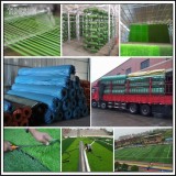 Professional Artificial Grass Products Of Garden Sports And Pet Synthetic Turf