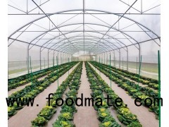 Hydroponic Greenhouse With Anti-UV 150micron Stong Windbreak Straight Walls