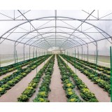Hydroponic Greenhouse With Anti-UV 150micron Stong Windbreak Straight Walls