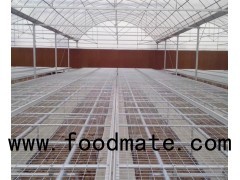 Gothic Cold Frame Plastic Covering Multi Span Greenhouse For Flowers