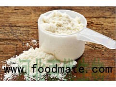 Whey Protein Powder Concentrate WPC 80/WPC35/WPI90