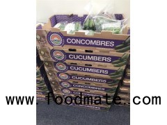 Double Flute Brown Carton Box With Genital Colors Printing Packaging For Fresh Cucumber
