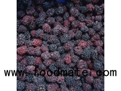 IQF Berries Frozen Blackberry
