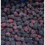 IQF Berries Frozen Blackberry