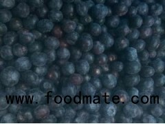 IQF Berries Frozen Bluberry