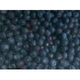 IQF Berries Frozen Bluberry
