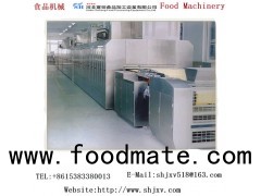 Saiheng Gas Tunnel Oven