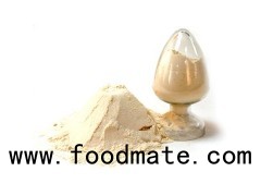 Concentrated Soy Protein Functional / CSP /SOY PROTEIN CONCENTRATE