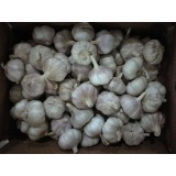 2017's Crop China Garlic Fresh And Cooling Purple Garlic