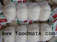 New Crop China Garlic Fresh And Cooling Pure White Garlic