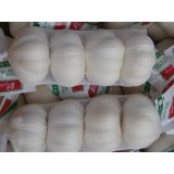 New Crop China Garlic Fresh And Cooling Pure White Garlic