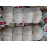 New Crop China Garlic Fresh And Cooling Pure White Garlic