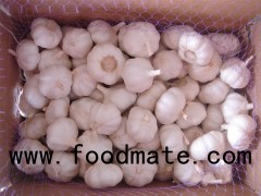 Fresh And Cooling Normal White Garlic With 10kg Carton Size 5.5cm Up