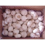 Fresh And Cooling Normal White Garlic With 10kg Carton Size 5.5cm Up