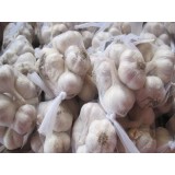 China Cangshan 4,6 Cloves Fresh Garlic Packed In Mesh Bags